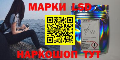 индика Кулебаки