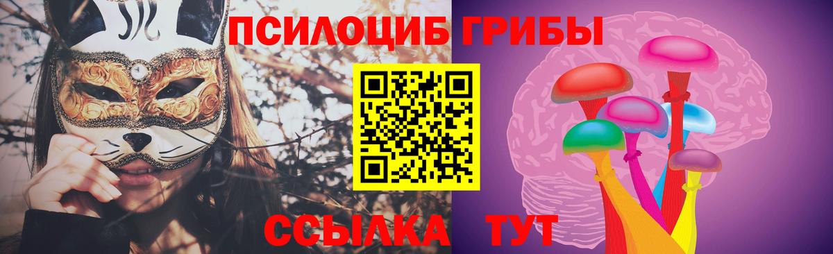 Галлюциногенные грибы Psilocybe  Вход с VPN  Клинцы 